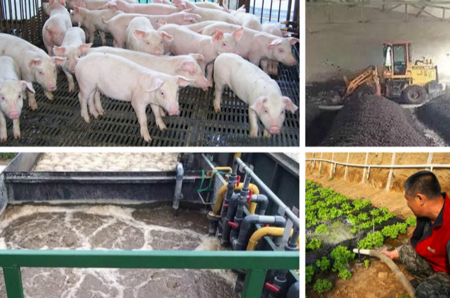 養(yǎng)殖污水處理一體設(shè)備多少錢？養(yǎng)殖污水處理方法