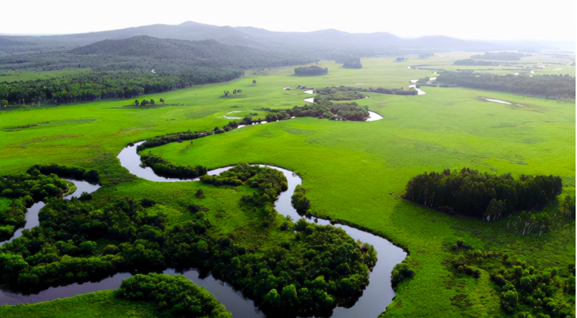 哈爾濱大量污水未經(jīng)處理直排松花江，會對當?shù)芈糜螛I(yè)帶來哪些影響