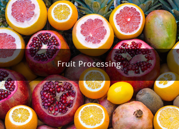 食品廠污水處理新思路，印度食品污水處理經(jīng)驗淺析01