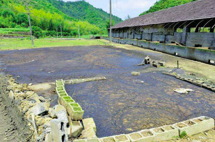 養(yǎng)豬污水變清水最快方法，養(yǎng)豬場(chǎng)污水處理方法有哪些-樂(lè)中環(huán)保