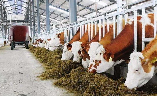 養(yǎng)殖污水處理設(shè)備的如何調(diào)試才能保障正常運(yùn)行？02