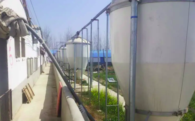 養(yǎng)豬污水處理設(shè)備一套多少錢？掌握這三點(diǎn)幫助你節(jié)約成本