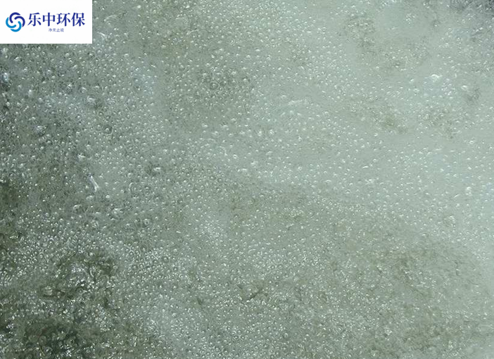 溶氣氣浮機(jī)泡沫多什么原因？如何解決？