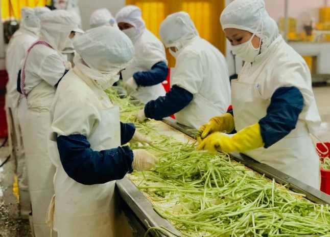 三種食品污水處理設(shè)備工藝流程，看看哪種適合您？