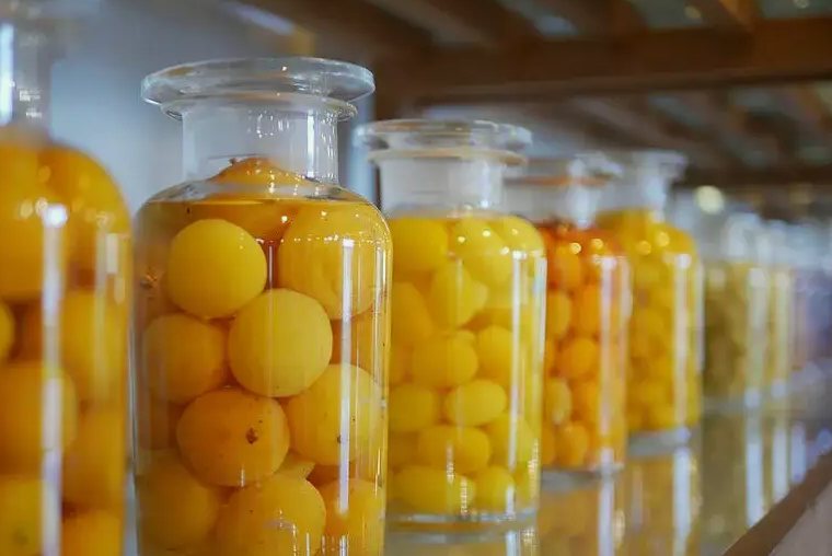 果脯加工廢水處理方案|工藝流程|設備-1 果脯加工廢水處理方案|工藝流程|設備-1